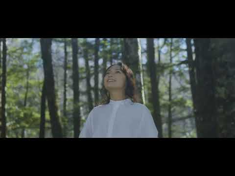 森の音 - doTERRA TIMES
