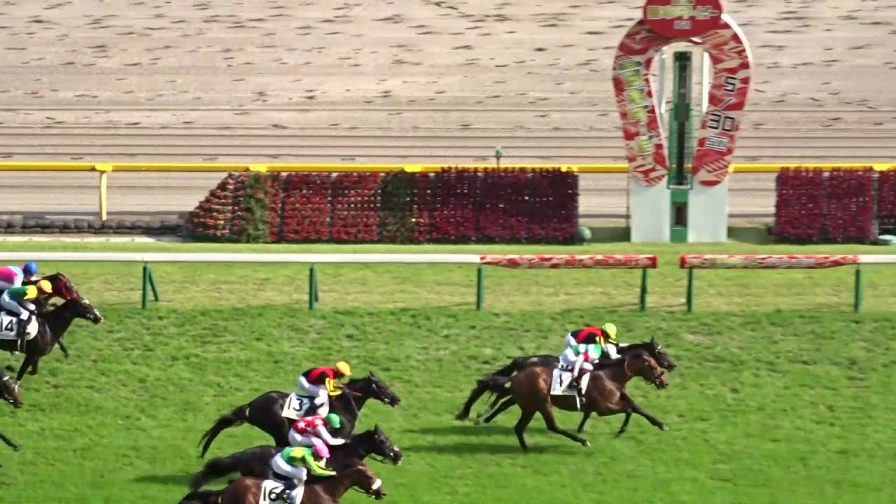 6月1日 第92回 日本ダービー】「輝く一等星に！史上初の日本ダービー