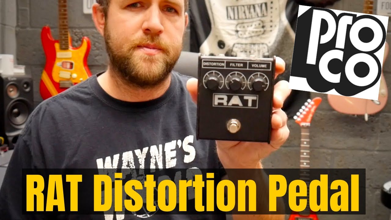 ProCo RAT 2 Distortion Pedal | Pedalboard Essentials - YouTube
