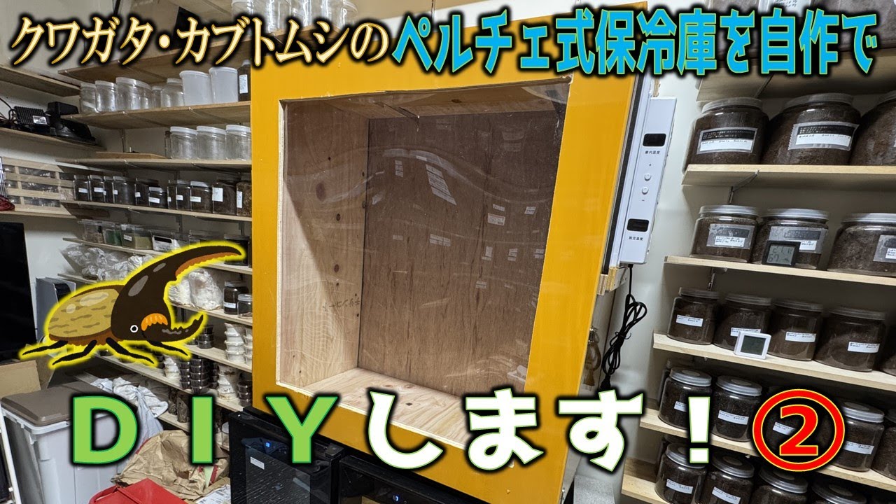 I'm going to add a DIY cooling shelf for my stag beetles! Part 2 I
