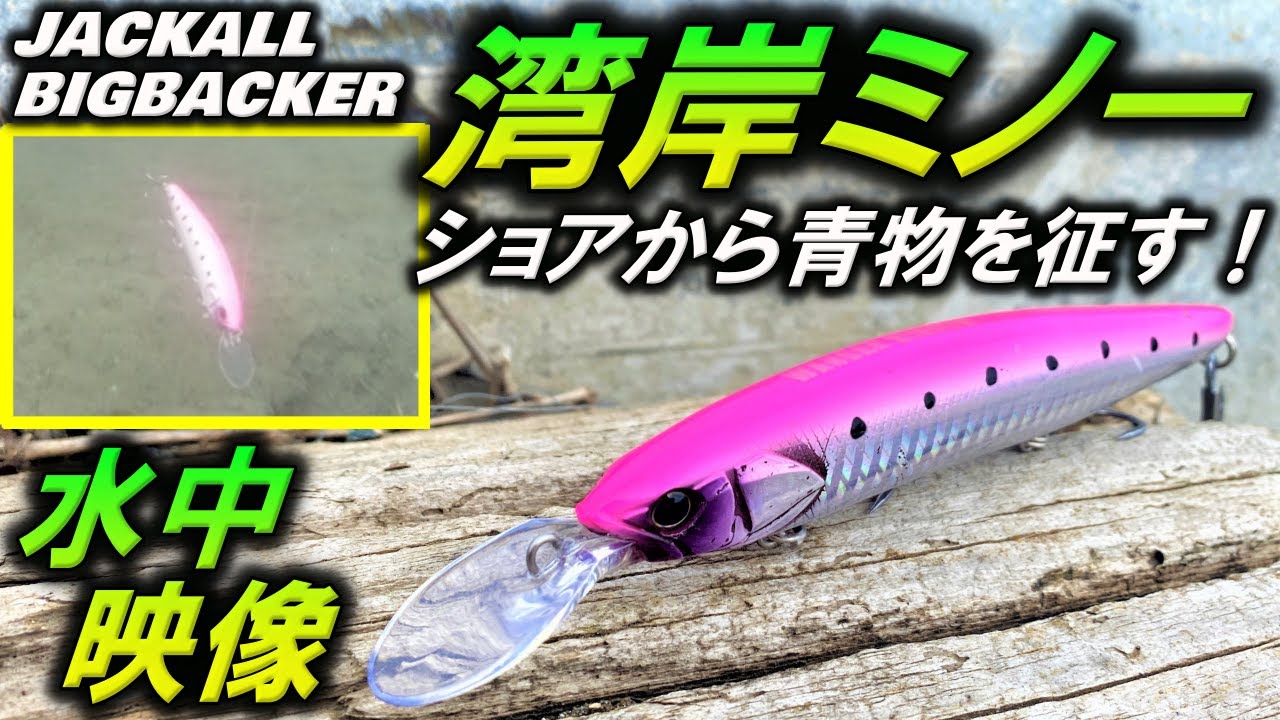 湾岸ミノー】 ルアー 水中映像 メタルジグ で釣れない時はコレ！対青物