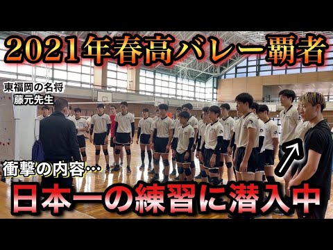 見なきゃ損】福岡の超名門校・東福岡バレー部にBeeQuickが潜入！日本一