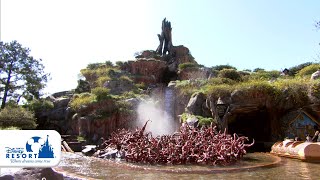 公式】スプラッシュ・マウンテン | 東京ディズニーランド/Tokyo