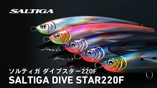 ソルティガ「ダイブ☆スター」「ラフライド ヒラマサチューン」新