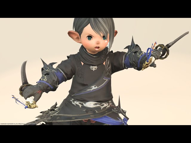 Ninja AF2 (Lv60) equipment 