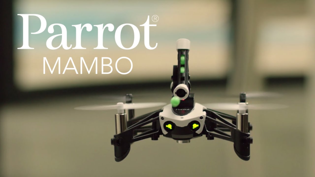 Parrot MAMBO - Official Video - YouTube