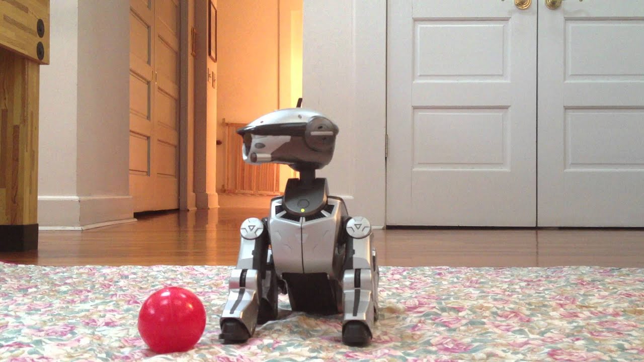 Zoe the Aibo ERS-220 - YouTube