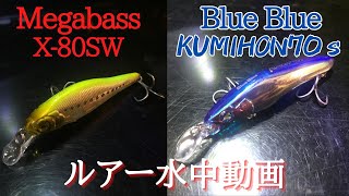 x-80sw,kumihon】水中映像 「Megabass x-80sw / Blue Blue KUMIHON 70s