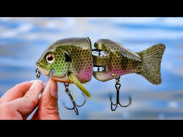 Fishing a BIG Bluegill Swimbait for Pond Bass (Toxic Baits Whipper