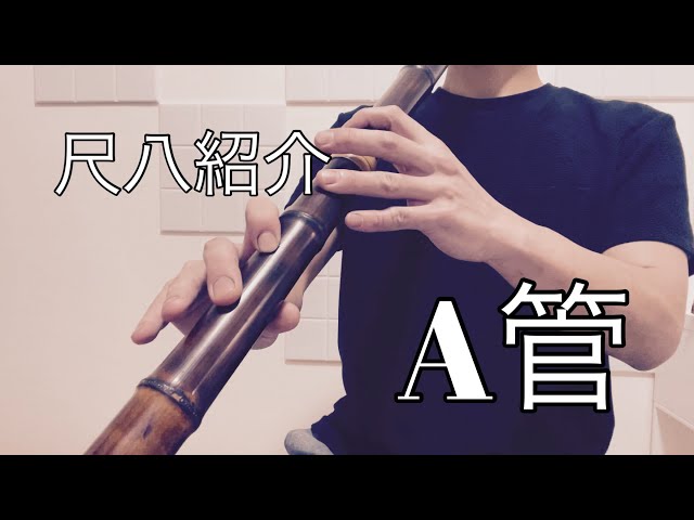 尺八 2尺2寸管 (No.8) 尺八 G#管 二尺五寸五分 雲森銘 琴古流