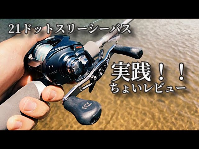 21ドットスリーでベイトシーバス！！ベイトシーバス目線でちょい