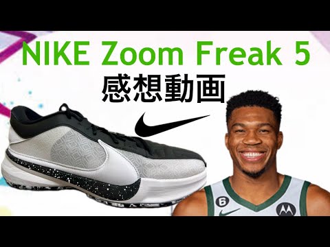 ヤニス・アデトクンボ｜NIKE ズームフリーク5(zoom freak 5