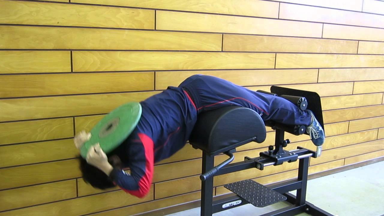 GHD グルートハムディベロッパー 臀筋 下半身強化 GHD グルートハム