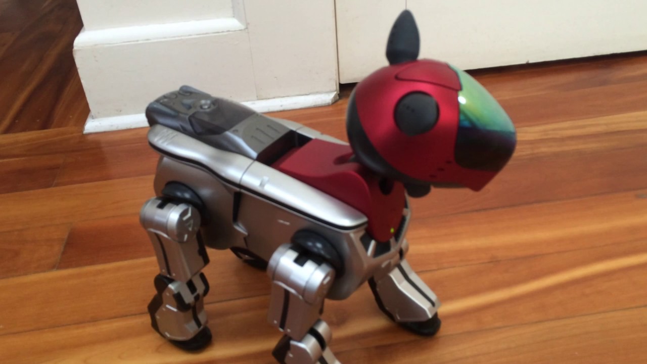 Sony Aibo ERS-220 Running with ERS-210 Head - YouTube