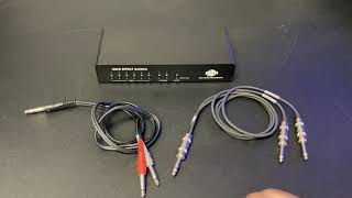 Mini Effect Gizmo X Audio Loop Switcher | RJM Music Technology, Inc.