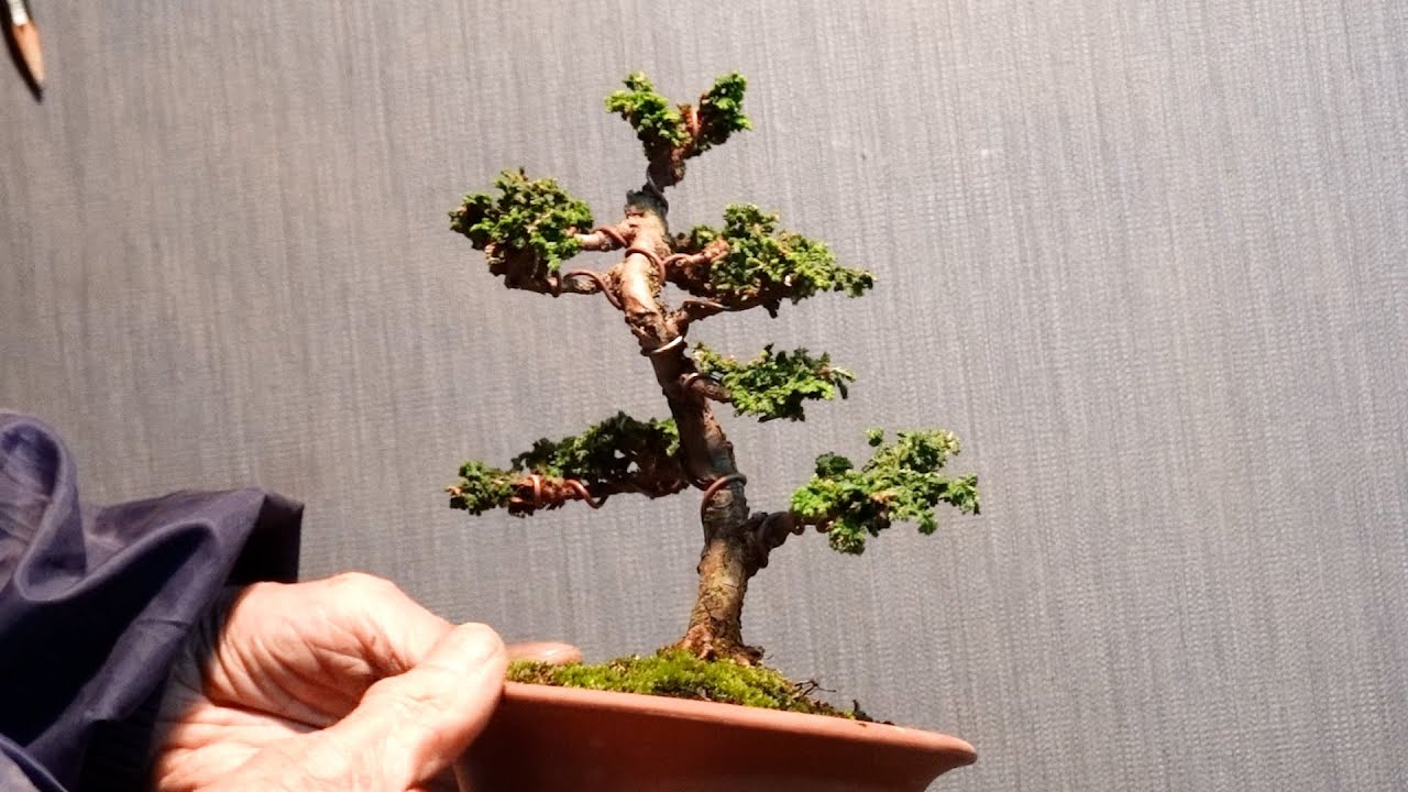 Repairing Petrified Cypress - YouTube