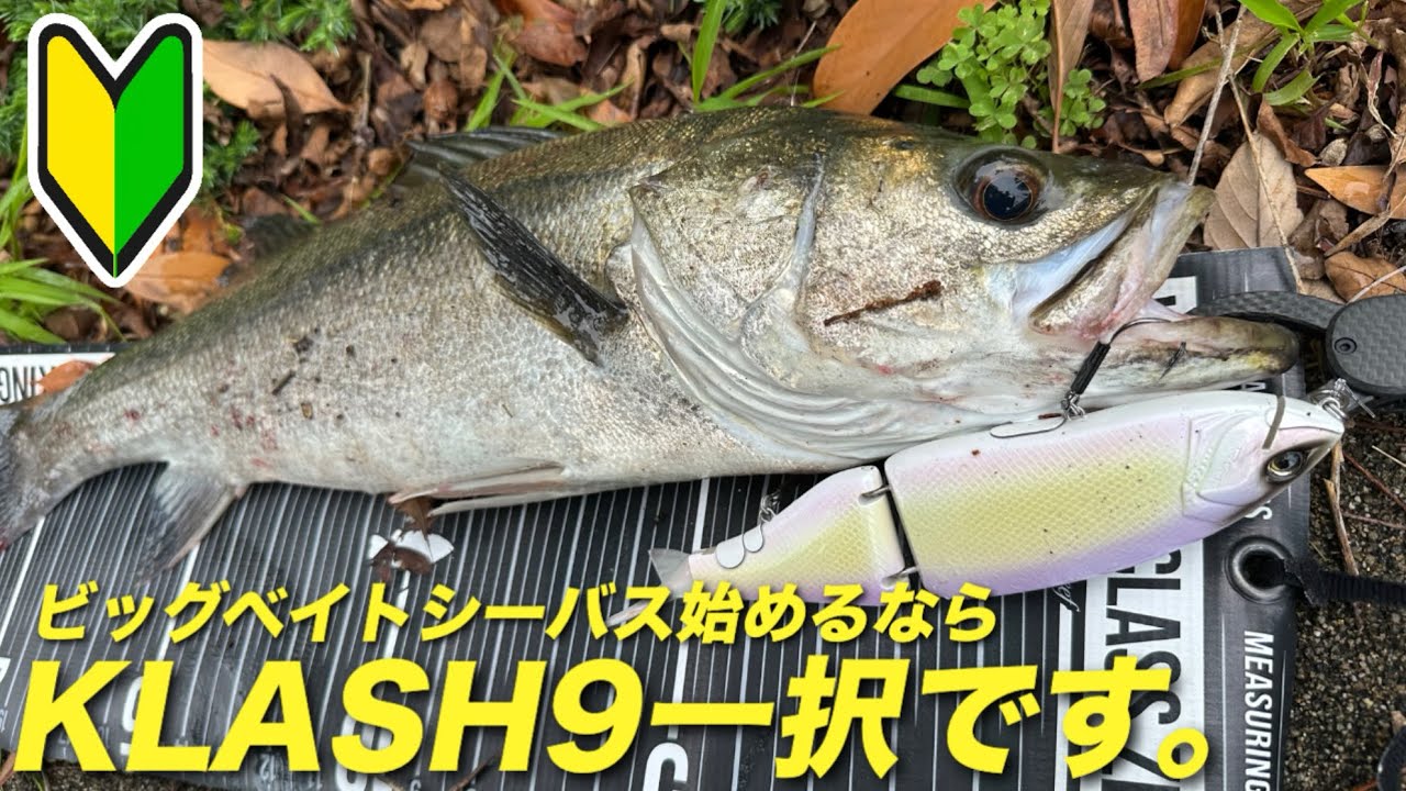 ビッグベイトシーバス】KLASH9 is a lure for catching Monster Fish