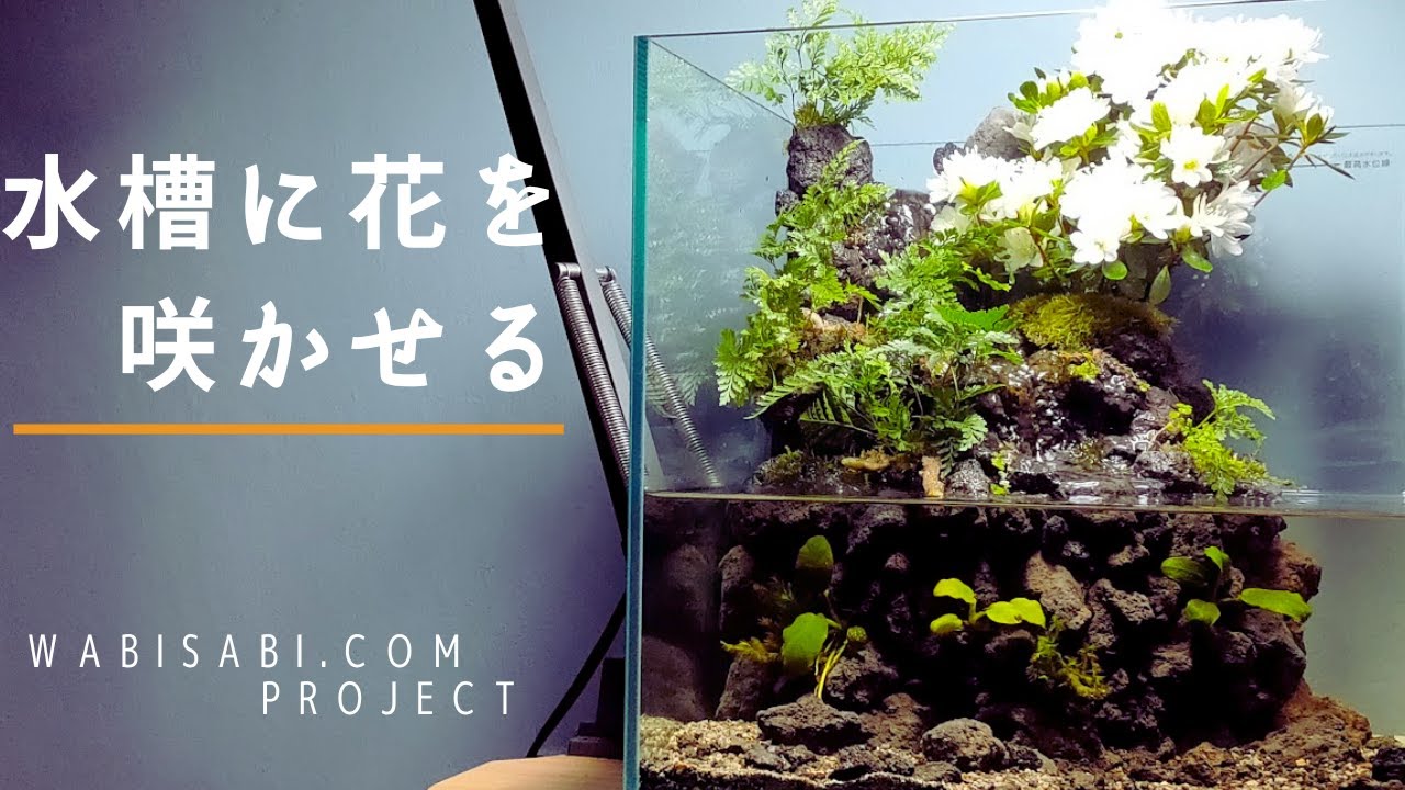 アクアテラリウムの作り方】3段の滝と小川に花が咲くレイアウト - YouTube
