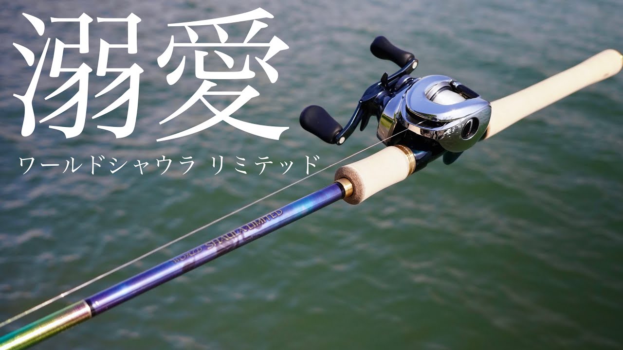 ワーシャ1703を愛し過ぎた男のワールドシャウラリミテッド1703-2R