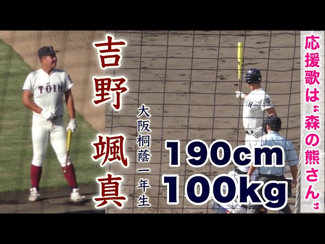 吉野 颯真選手 大阪桐蔭1年生デビュー』アルプスからの応援歌は森の熊