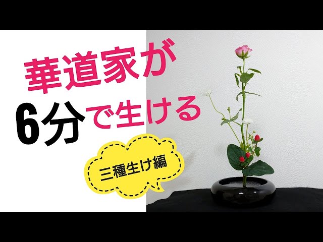 池坊】気楽に三種生け【生け花】 - YouTube