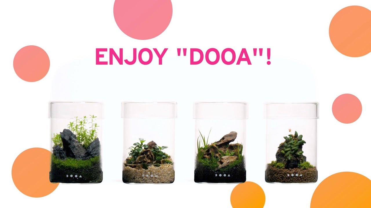 ADAview] DOOA GLASS POT MARU Collection - YouTube