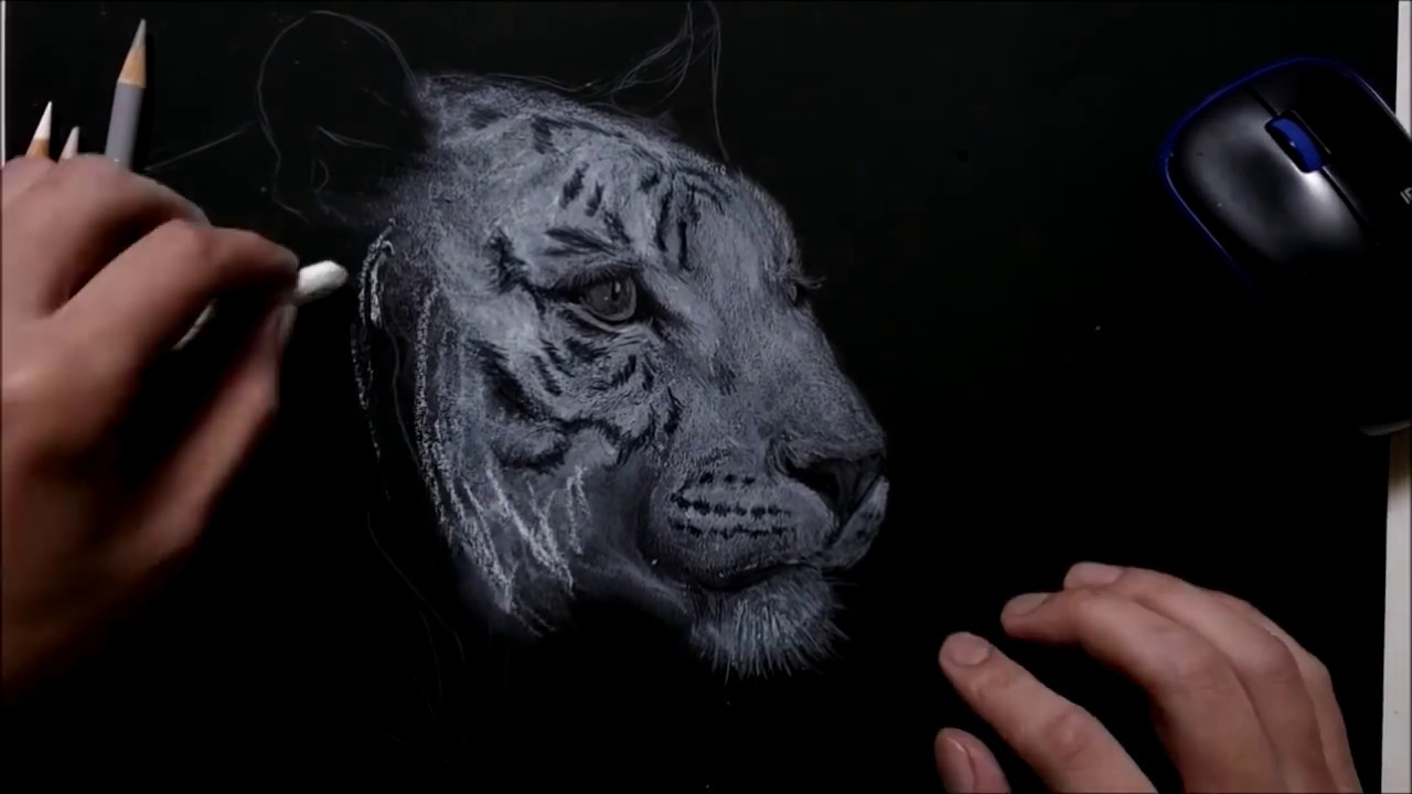 How to draw a tiger on black paper - YouTube