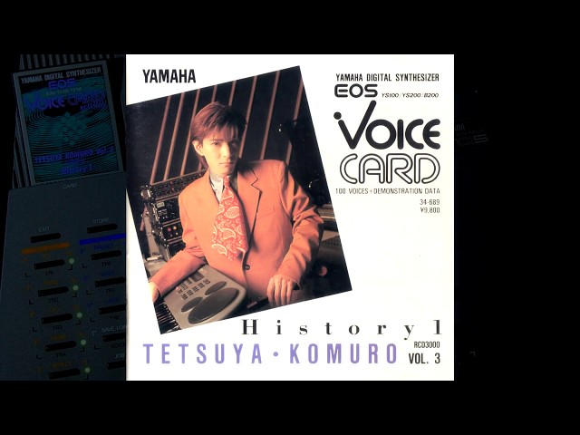 激レア✨】YAMAHA ヤマハ EOS ボイスカード 小室哲哉 メモリーカード