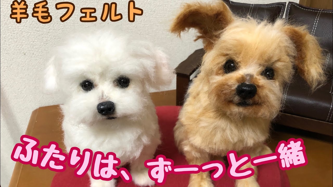 我が子とずーっと一緒！！【わたわたペットの分身の術】 - YouTube