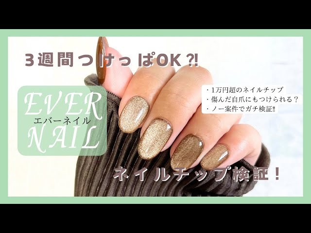 EVERNAIL ネイルチップ Office Pink