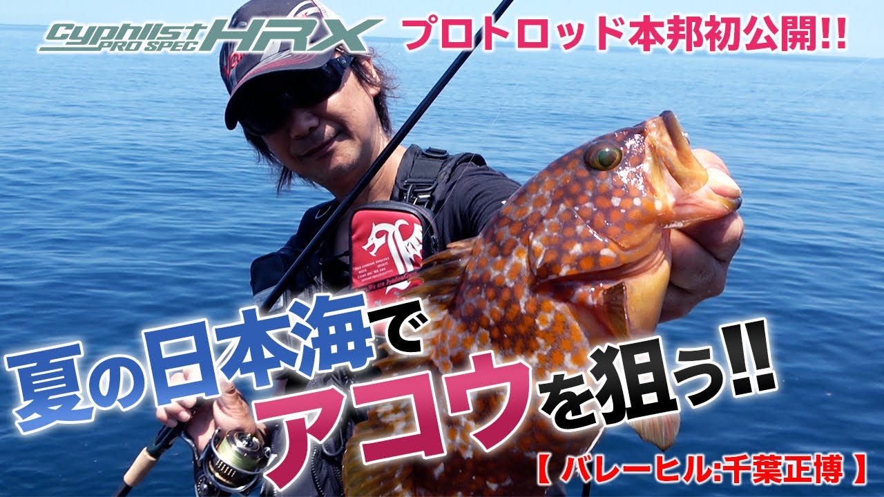 バレーヒル フェアレイド FRS-84ML チタンガイド Valleyhill