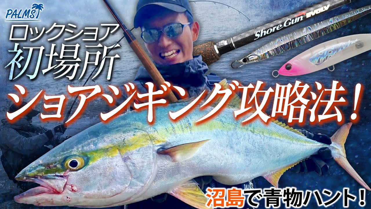 兵庫県沼島で青物ハント！ロックショア初場所でのショアジギング攻略