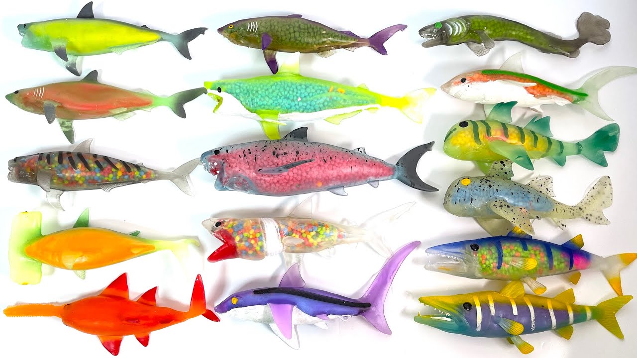 Shark Attack & Co. Complete Set 