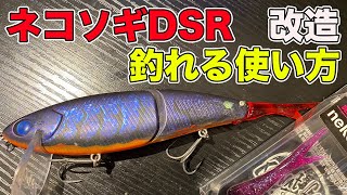 バス釣り】ネコソギDSR（ビッグベイト）のチューン方法と使い方を徹底