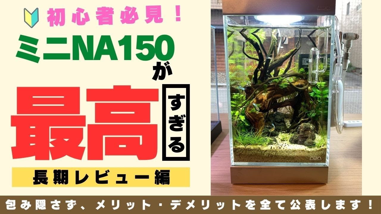 こんな小さな器で水草水槽を作れるの？「ADAミニNAセット150長期
