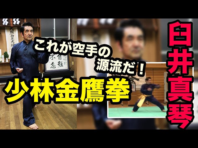 日中伝統武術界の魁 佐藤金兵衛翁が伝え遺した中国南派拳術！ 空手の