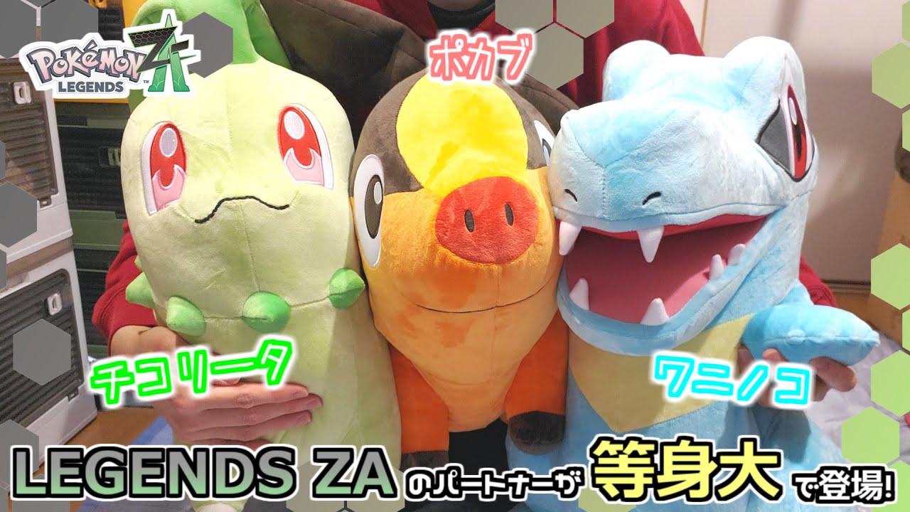 Pokemon Center] Chikorita, Pokabu, and Waninoko are bigger than