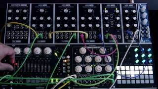 Shakmat Time Wizard - Eurorack Module on ModularGrid