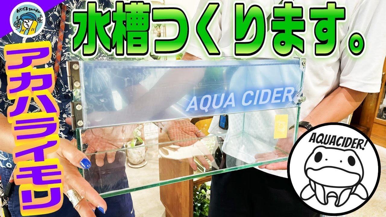 アクアリウム】アカハライモリ専用の滝の流れる水槽を作る（サイダー