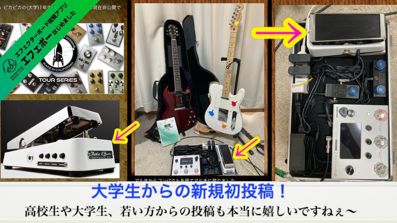 Xotic Wah Wah Pedal 常田大希 Xotic Wah XW-1 常田大希使用 King