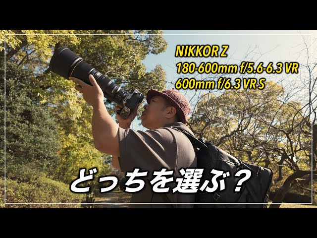 雑談】NIKKOR Z 180-600、600mm f/6.3 を使ってみた感想、Z 9、Z 8 の