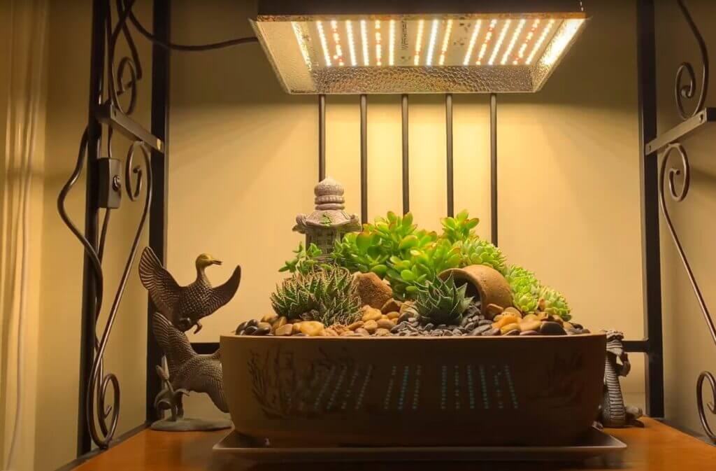 海外園芸家御用達】植物育成LEDライトMARS HYDRO TS-1000レビュー