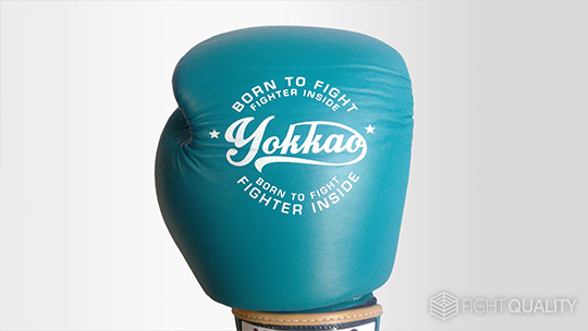YOKKAO Vintage Muay Thai Boxing Gloves Review - Fight Quality