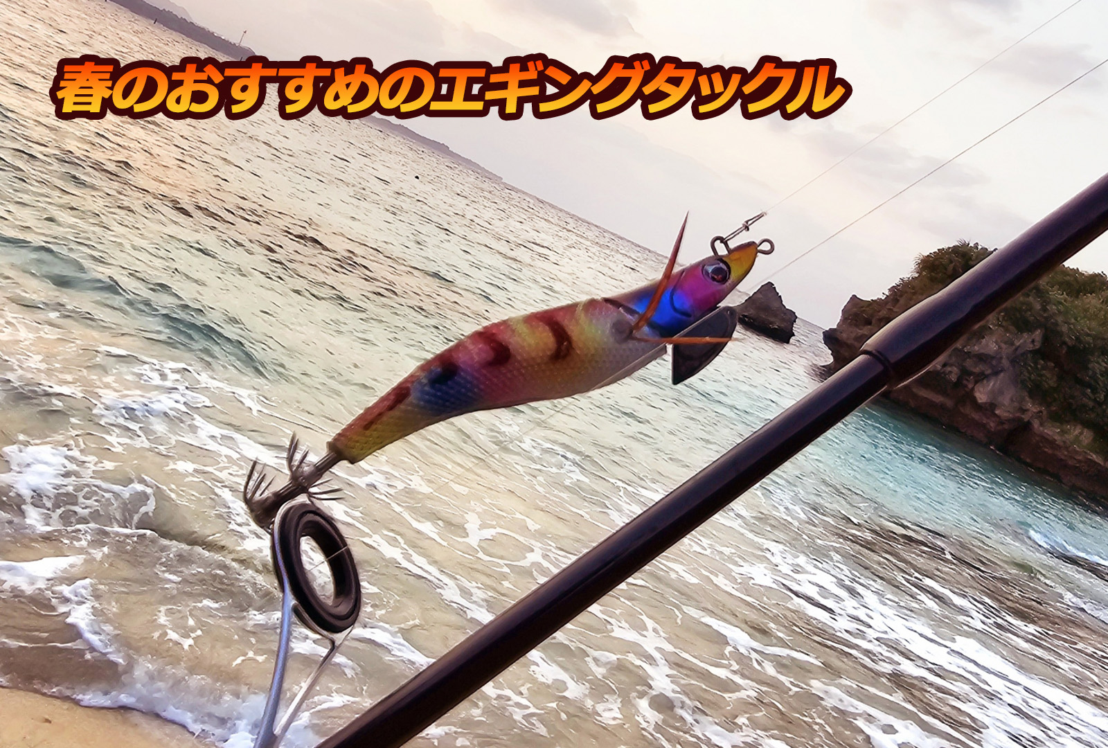 残り2組早い者勝ち ブリーデン 秋イカ 新子イカ エギ 3.5号 14本 残り2