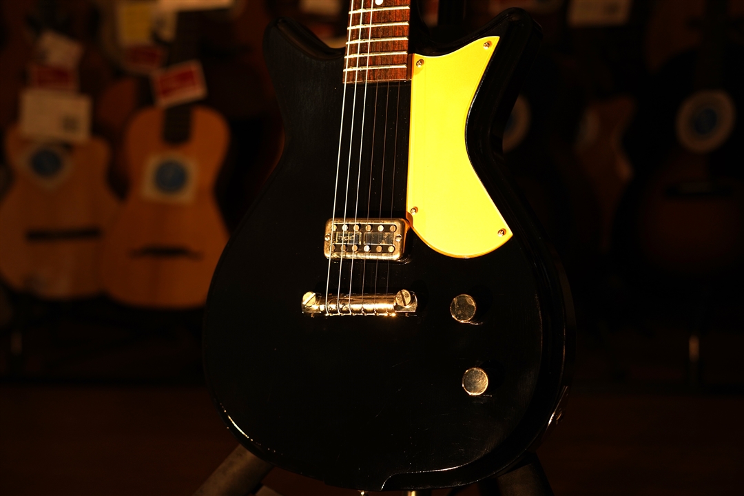 KING SNAKE Black Bear - Black | Red Guitars Online Store