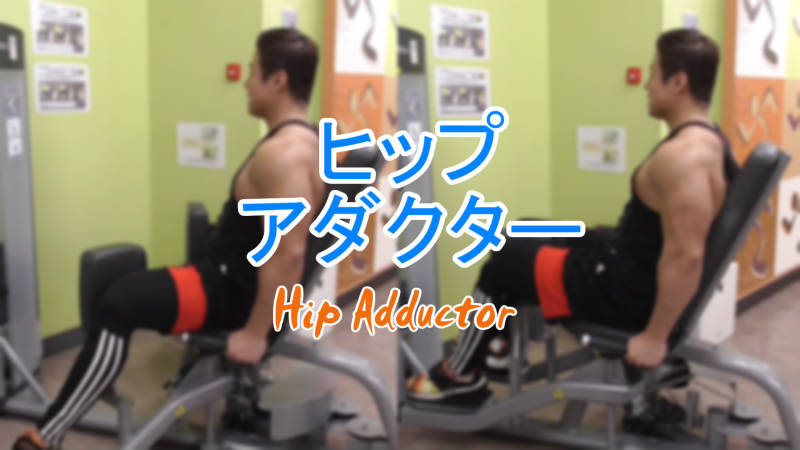 ヒップアダクターの使い方や効果を出す筋肉を解説！O脚改善で美脚にも