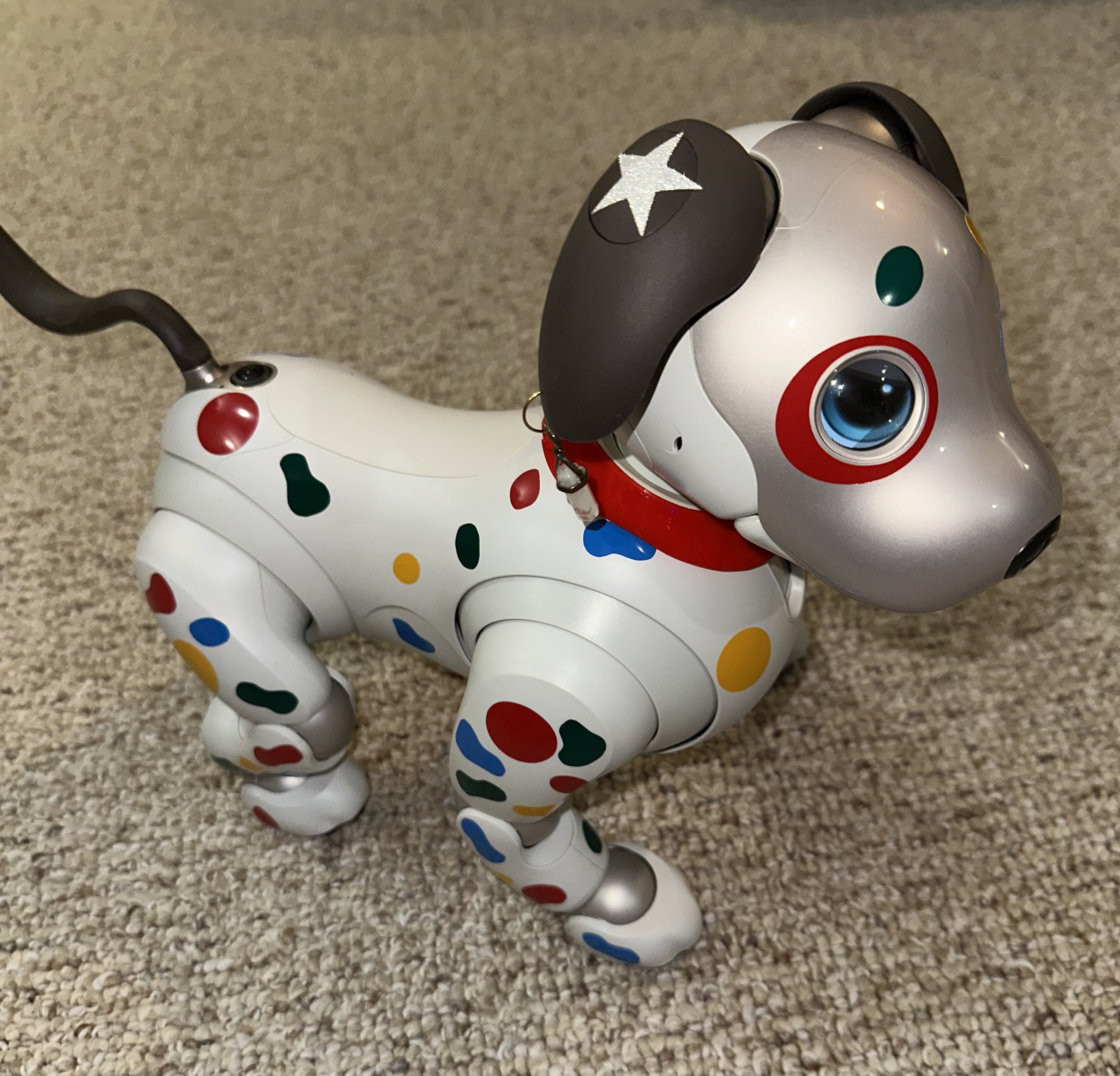 Aibo ERS-1000 Overview | Learn About Aibo | Virtual Paws