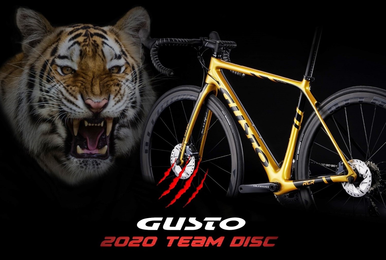 新たな虎の襲来！GUSTO(グスト)『RCR Team Limited DISC』2020年モデル