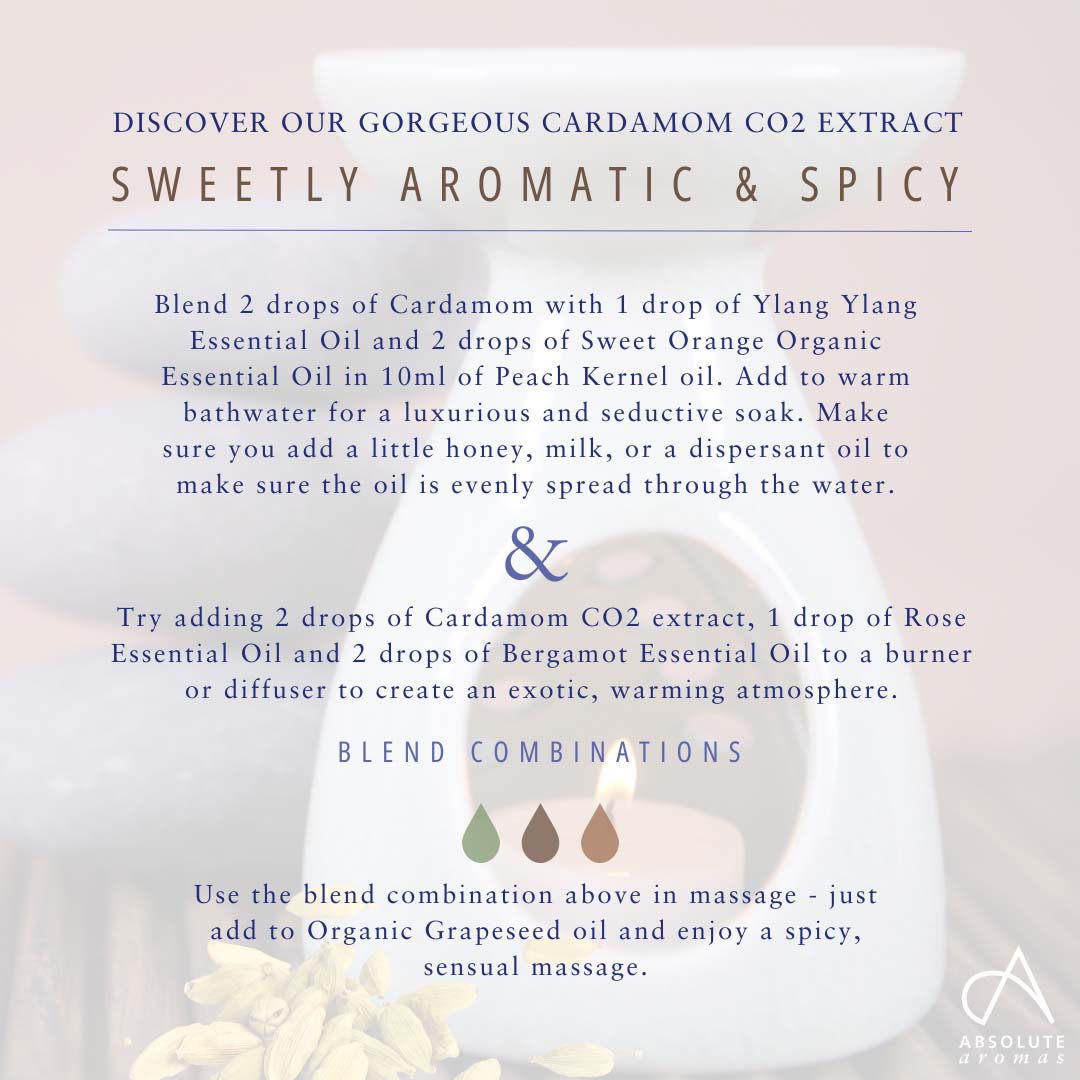 Cardamom CO2 Extract - Absolute Aromas