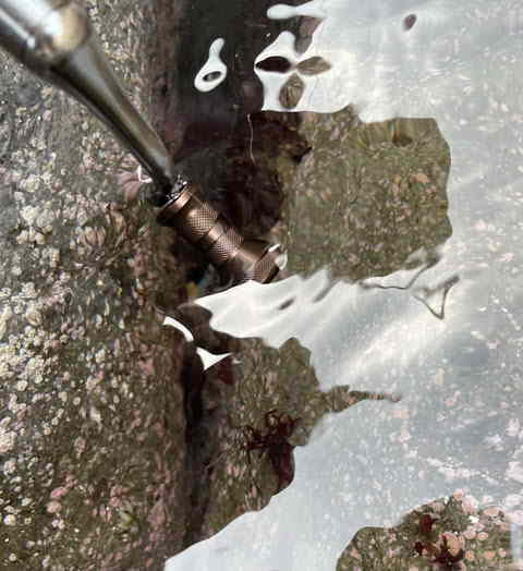 マンハッタンAqua